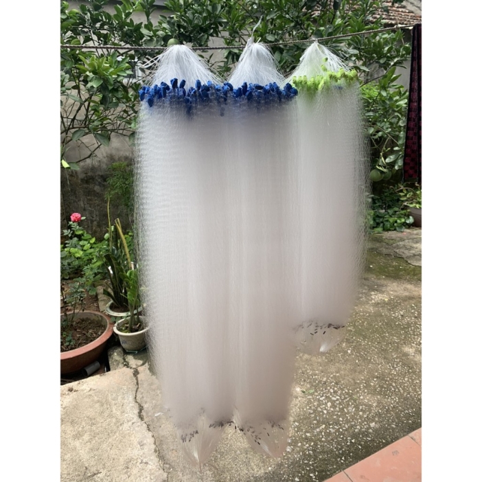Lưới giăng cá lòng tong