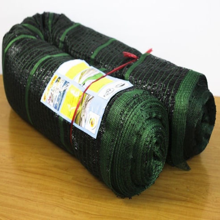Lưới Lan