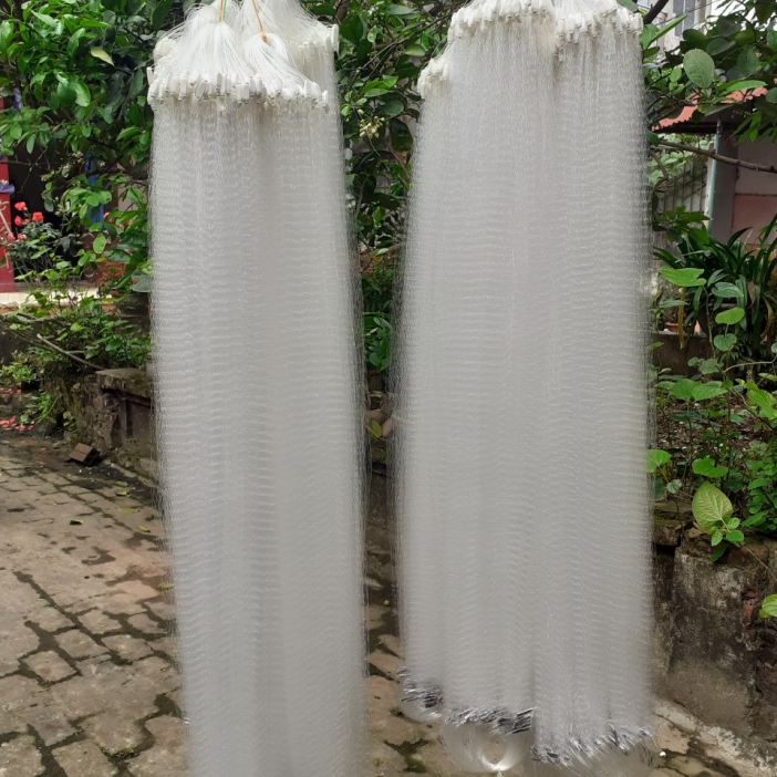 Lưới giăng cá lòng tong