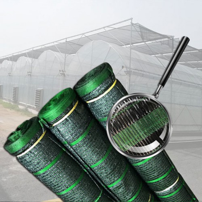 Lưới Lan